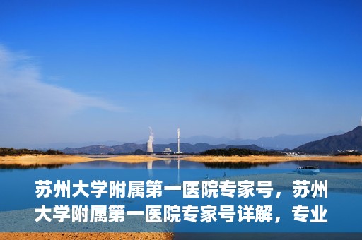 苏州大学附属第一医院专家号，苏州大学附属第一医院专家号详解，专业医疗团队与精准诊疗服务