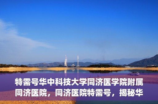 特需号华中科技大学同济医学院附属同济医院，同济医院特需号，揭秘华中科技大学同济医学院附属医院的特色服务与医疗特色