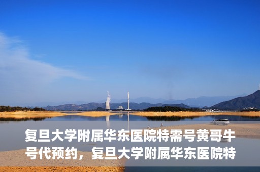 复旦大学附属华东医院特需号黄哥牛号代预约，复旦大学附属华东医院特需号黄哥牛号预约服务解析