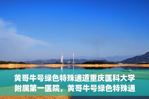 黄哥牛号绿色特殊通道重庆医科大学附属第一医院，黄哥牛号绿色特殊通道，重庆医科大学附属第一医院实践探索