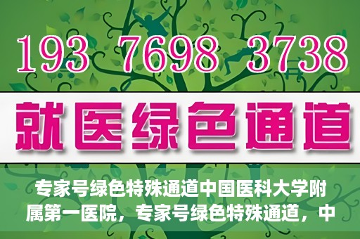 专家号绿色特殊通道中国医科大学附属第一医院，专家号绿色特殊通道，中国医科大学附属第一医院医疗服务的创新实践