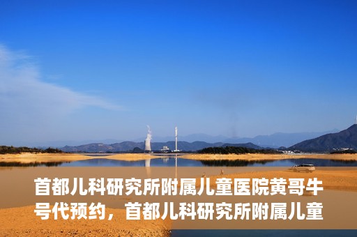 首都儿科研究所附属儿童医院黄哥牛号代预约，首都儿科研究所附属儿童医院黄哥预约服务详解