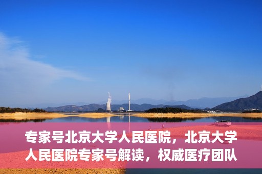 专家号北京大学人民医院，北京大学人民医院专家号解读，权威医疗团队深度剖析健康之道