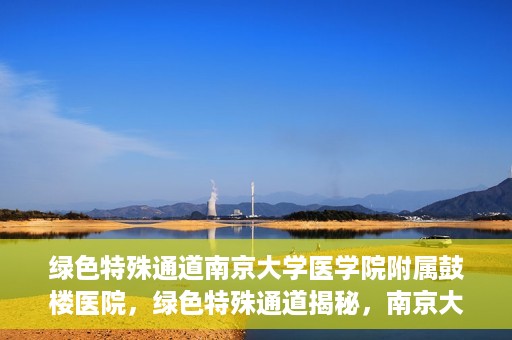 绿色特殊通道南京大学医学院附属鼓楼医院，绿色特殊通道揭秘，南京大学医学院附属鼓楼医院的探索与实践