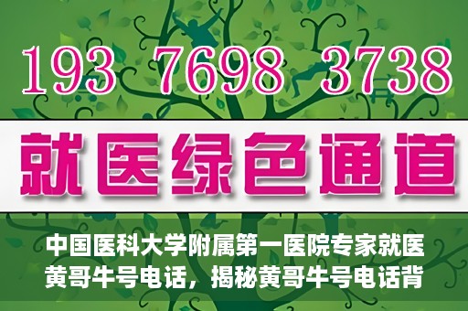 中国医科大学附属第一医院专家就医黄哥牛号电话，揭秘黄哥牛号电话背后的故事，中国医科大学附属第一医院专家就医之路