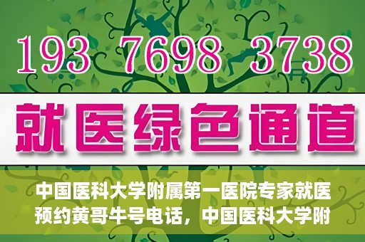 中国医科大学附属第一医院专家就医预约黄哥牛号电话，中国医科大学附属第一医院专家预约挂号热线，黄哥牛号电话助您轻松就医。
