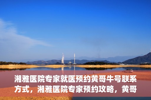 湘雅医院专家就医预约黄哥牛号联系方式，湘雅医院专家预约攻略，黄哥牛号联系方式揭秘