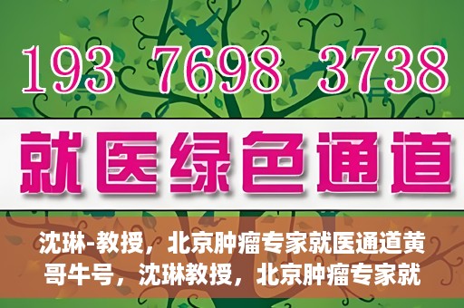 沈琳-教授，北京肿瘤专家就医通道黄哥牛号，沈琳教授，北京肿瘤专家就医通道揭秘——黄哥牛号领航健康之路