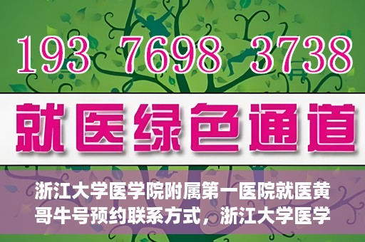 浙江大学医学院附属第一医院就医黄哥牛号预约联系方式，浙江大学医学院附属第一医院就医攻略，黄哥牛号预约联系方式全解析