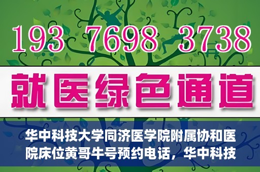 华中科技大学同济医学院附属协和医院床位黄哥牛号预约电话，华中科技大学同济医学院附属协和医院床位预约电话及黄哥牛号预约信息揭秘