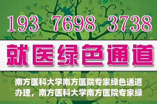 南方医科大学南方医院专家绿色通道办理，南方医科大学南方医院专家绿色通道办理详解