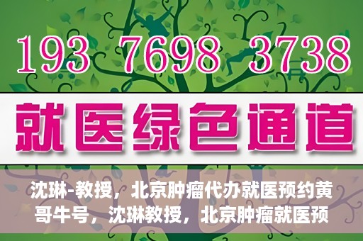 沈琳-教授，北京肿瘤代办就医预约黄哥牛号，沈琳教授，北京肿瘤就医预约背后的故事——黄哥牛号揭秘