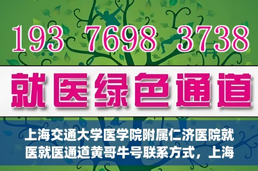 上海交通大学医学院附属仁济医院就医就医通道黄哥牛号联系方式，上海交通大学医学院附属仁济医院就医通道详解，黄哥牛号联系方式揭秘