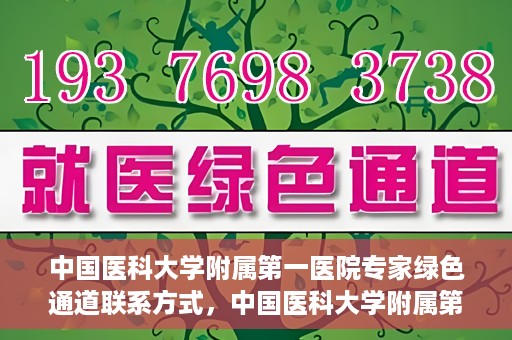 中国医科大学附属第一医院专家绿色通道联系方式，中国医科大学附属第一医院专家绿色通道联系热线及咨询方式