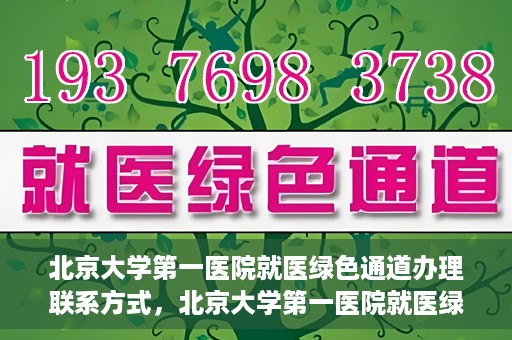 北京大学第一医院就医绿色通道办理联系方式，北京大学第一医院就医绿色通道联系指南，快速办理就医服务通道详解
