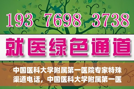 中国医科大学附属第一医院专家特殊渠道电话，中国医科大学附属第一医院专家特殊渠道专线揭秘
