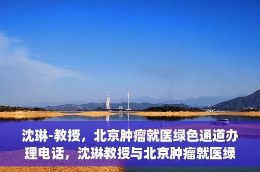 沈琳-教授，北京肿瘤就医绿色通道办理电话，沈琳教授与北京肿瘤就医绿色通道，一键通话解决就医难题