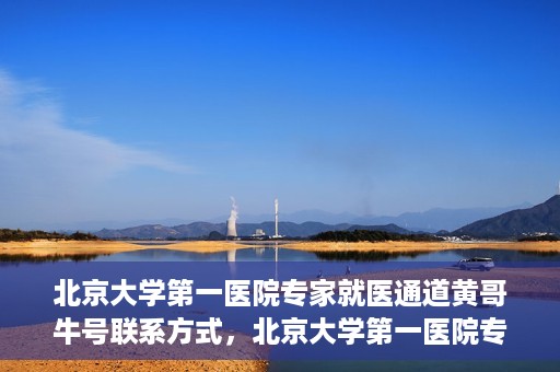 北京大学第一医院专家就医通道黄哥牛号联系方式，北京大学第一医院专家就医通道，黄哥牛号联系方式全解析