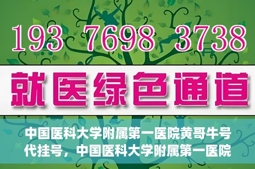 中国医科大学附属第一医院黄哥牛号代挂号，中国医科大学附属第一医院黄哥牛号代挂号服务详解