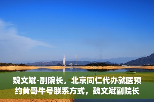 魏文斌-副院长，北京同仁代办就医预约黄哥牛号联系方式，魏文斌副院长与北京同仁医院预约就医攻略，黄哥牛号联系方式揭秘
