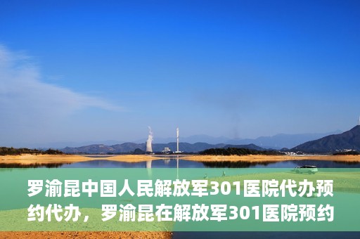 罗渝昆中国人民解放军301医院代办预约代办，罗渝昆在解放军301医院预约代办的便捷之路