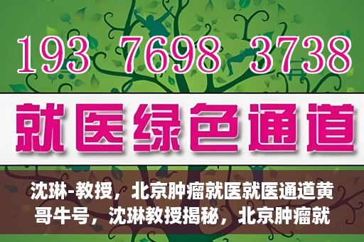 沈琳-教授，北京肿瘤就医就医通道黄哥牛号，沈琳教授揭秘，北京肿瘤就医通道的关键人物黄哥牛号引领就医新风尚