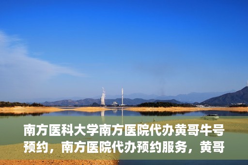 南方医科大学南方医院代办黄哥牛号预约，南方医院代办预约服务，黄哥牛号预约详解