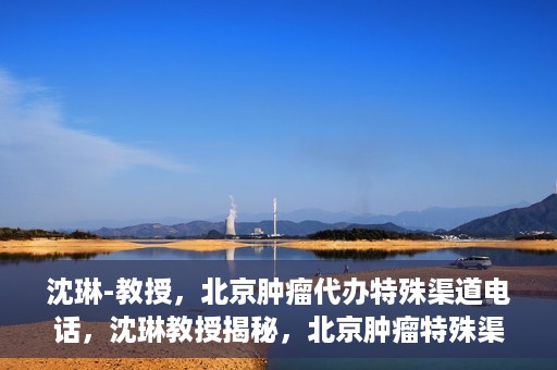 沈琳-教授，北京肿瘤代办特殊渠道电话，沈琳教授揭秘，北京肿瘤特殊渠道电话代办服务