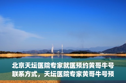 北京天坛医院专家就医预约黄哥牛号联系方式，天坛医院专家黄哥牛号预约联系方式揭秘，就医预约新选择