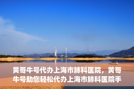 黄哥牛号代办上海市肺科医院，黄哥牛号助您轻松代办上海市肺科医院手续。