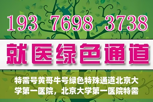特需号黄哥牛号绿色特殊通道北京大学第一医院，北京大学第一医院特需号黄哥牛号，绿色特殊通道揭秘