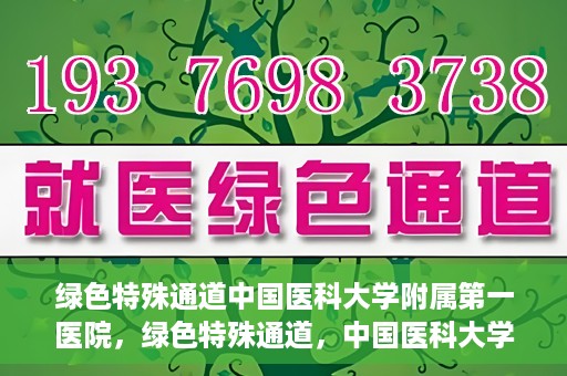 绿色特殊通道中国医科大学附属第一医院，绿色特殊通道，中国医科大学附属第一医院探索前行