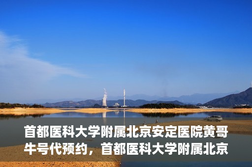 首都医科大学附属北京安定医院黄哥牛号代预约，首都医科大学附属北京安定医院黄哥牛号预约服务解析