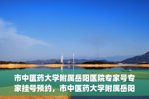 市中医药大学附属岳阳医院专家号专家挂号预约，市中医药大学附属岳阳医院专家挂号预约系统，专业医疗资源的便捷通道