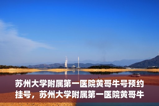 苏州大学附属第一医院黄哥牛号预约挂号，苏州大学附属第一医院黄哥牛号，预约挂号攻略