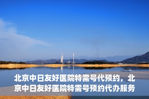 北京中日友好医院特需号代预约，北京中日友好医院特需号预约代办服务解析
