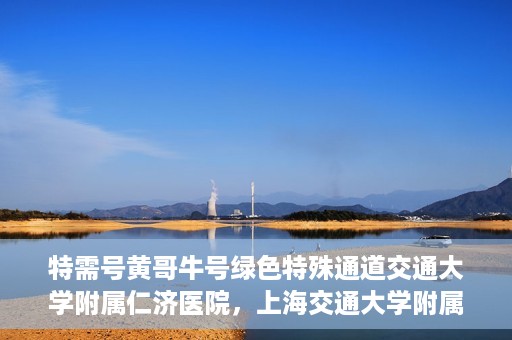 特需号黄哥牛号绿色特殊通道交通大学附属仁济医院，上海交通大学附属仁济医院特需号黄哥牛号，绿色特殊通道助力健康之路