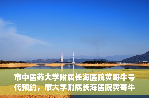 市中医药大学附属长海医院黄哥牛号代预约，市大学附属长海医院黄哥牛号预约服务启动