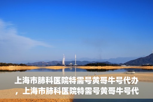 上海市肺科医院特需号黄哥牛号代办，上海市肺科医院特需号黄哥牛号代办服务解析