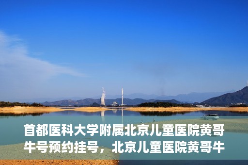 首都医科大学附属北京儿童医院黄哥牛号预约挂号，北京儿童医院黄哥牛号预约挂号攻略，轻松挂号，无忧就医体验