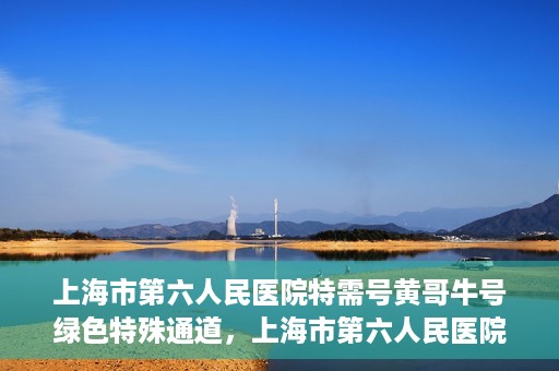 上海市第六人民医院特需号黄哥牛号绿色特殊通道，上海市第六人民医院特需号黄哥牛号，绿色就医通道新选择