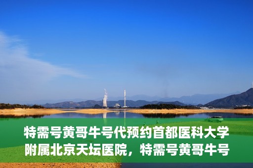 特需号黄哥牛号代预约首都医科大学附属北京天坛医院，特需号黄哥牛号，北京天坛医院预约服务详解