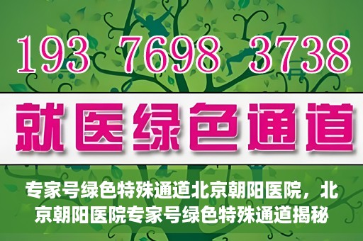 专家号绿色特殊通道北京朝阳医院，北京朝阳医院专家号绿色特殊通道揭秘，医疗服务的创新与优化体验