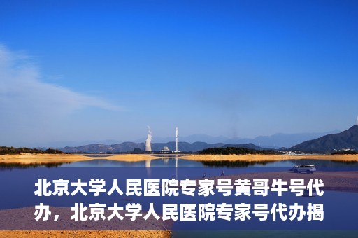北京大学人民医院专家号黄哥牛号代办，北京大学人民医院专家号代办揭秘，黄哥牛号背后的故事