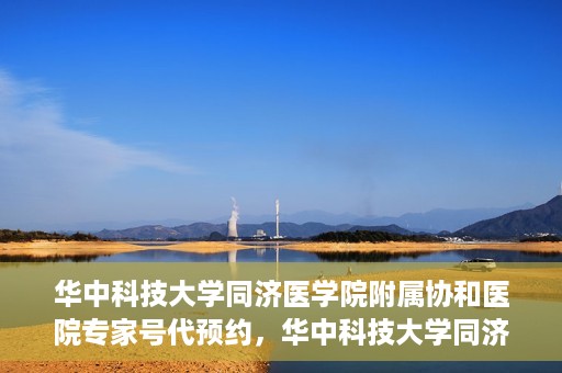 华中科技大学同济医学院附属协和医院专家号代预约，华中科技大学同济医学院附属协和医院专家号预约代办服务解析