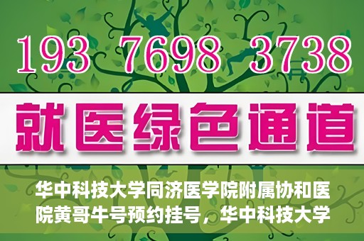 华中科技大学同济医学院附属协和医院黄哥牛号预约挂号，华中科技大学同济医学院附属协和医院黄哥牛号预约挂号攻略解析