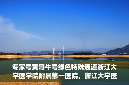 专家号黄哥牛号绿色特殊通道浙江大学医学院附属第一医院，浙江大学医学院附属第一医院专家号黄哥牛号绿色特殊通道揭秘
