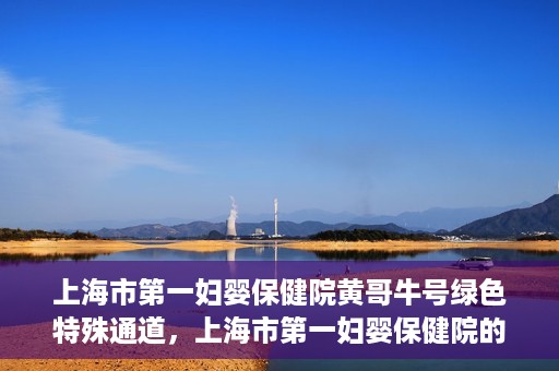 上海市第一妇婴保健院黄哥牛号绿色特殊通道，上海市第一妇婴保健院的绿色特殊通道，黄哥牛号行动启动