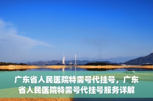 广东省人民医院特需号代挂号，广东省人民医院特需号代挂号服务详解