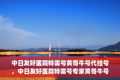 中日友好医院特需号黄哥牛号代挂号，中日友好医院特需号专家黄哥牛号代挂号服务解析